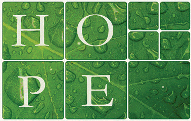 the hope card